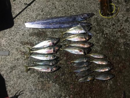 フィッシングダディ