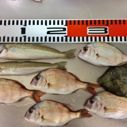 連日の釣行 頑張りました