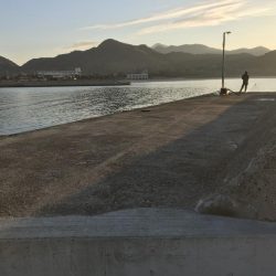 朝マズメの釣行