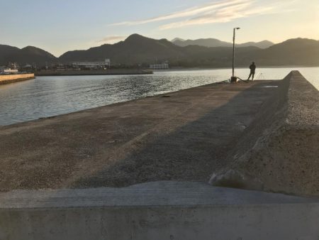 朝マズメの釣行