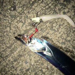 癒しを求めて…