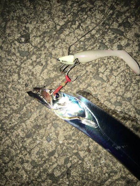 癒しを求めて…