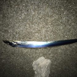 冷え込んできたがまだまだ釣れます