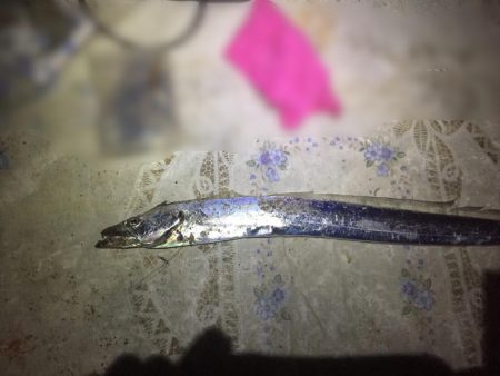 スローピッチアクションがどハマり‼︎‼︎