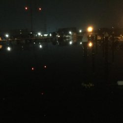 シロギス狙いが。。