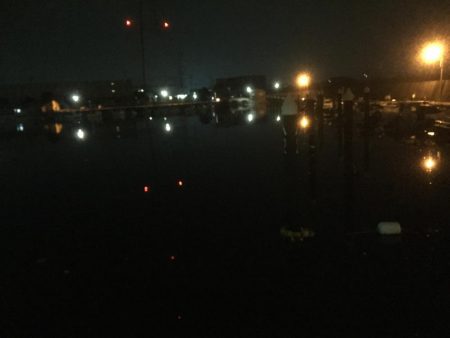 シロギス狙いが。。