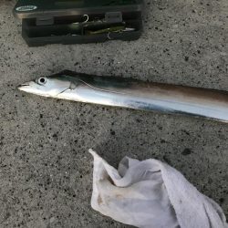 週末は場所取りが大変