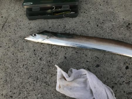 週末は場所取りが大変