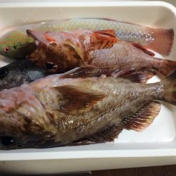 ちょこっと1時間ほど