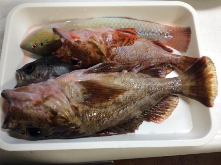 ちょこっと1時間ほど