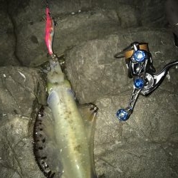 爆風でも行きたい！