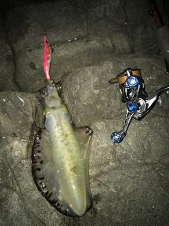 爆風でも行きたい！