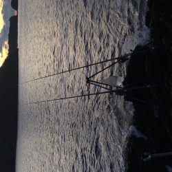 カワハギ投げ釣り