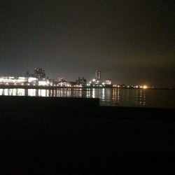 アジングのはずが、、、