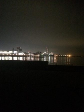 アジングのはずが、、、