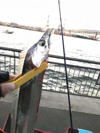 強風吹き荒ぶ中…