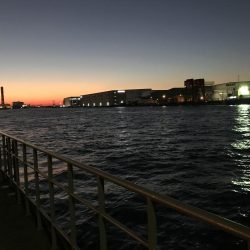 太刀魚2本で撤退