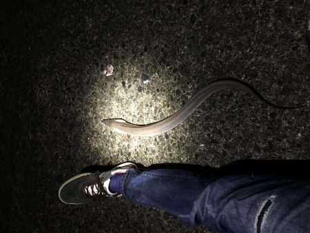 夜間の打ち込みにて