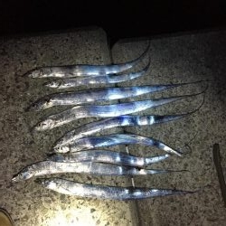 朝一、人人人…