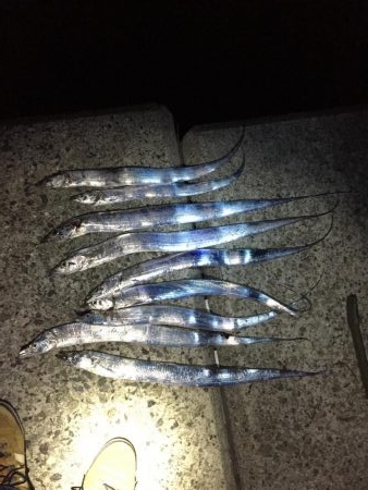 朝一、人人人…