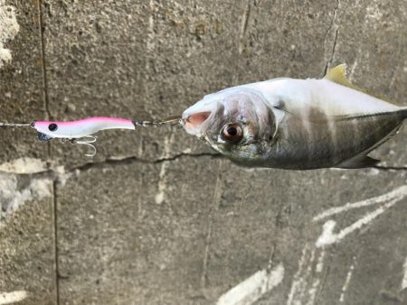 仕事の休憩時間に