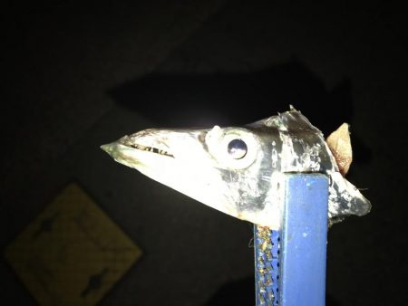 またもや、最初だけでした。