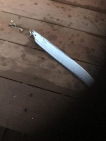 舞洲タチウオ渋い〜