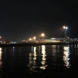 何とか1匹リールトラブル