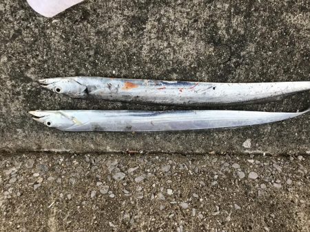 帰り際に牙族登場