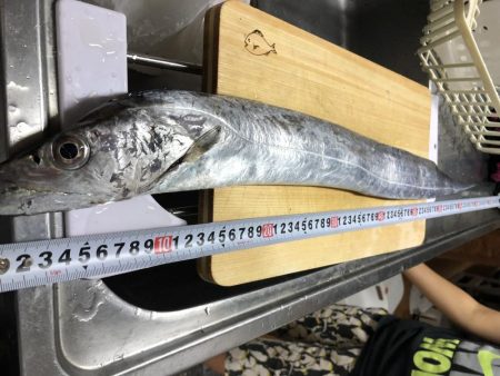 待望のドラゴン