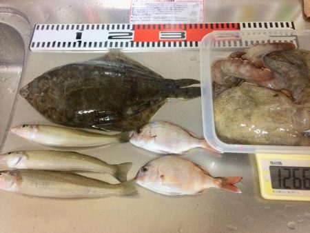 キス釣りでタコ&カレイ