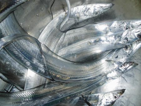 スレたタッチ―６本。。