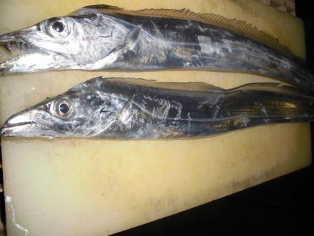 近場でタッチ―２本。