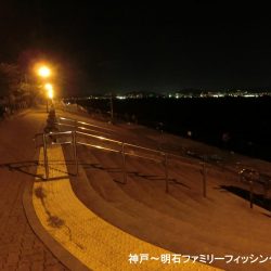 タチウオ狙いのはずがガッシーでボウズ逃れ