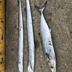 時合いが短過ぎ(T-T)