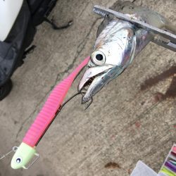 雨にも負けず風にも負けず！