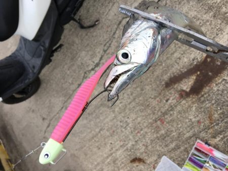 雨にも負けず風にも負けず！