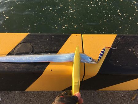 初ドラゴン！！