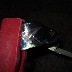 そろそろ終盤？