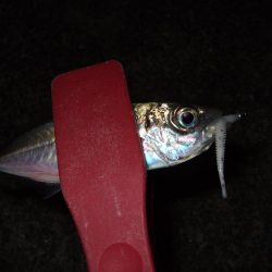 し、渋い・・・