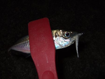 し、渋い・・・