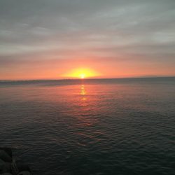 強風の中なんとか1匹