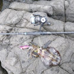 ちょこっとエギング