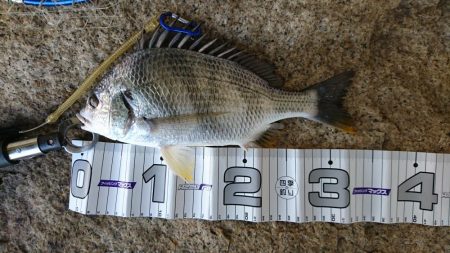 昨日のリベンジ