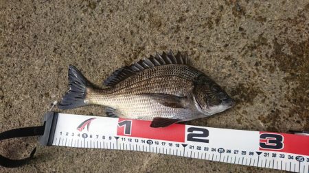 小潮、食いが渋い❗