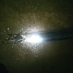 リベンジのはずが…