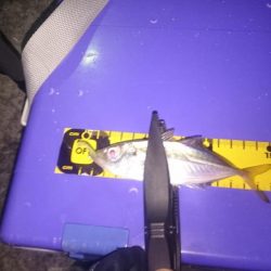 長時間頑張れど…