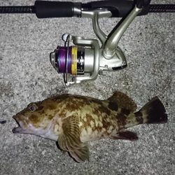 久しぶりの餌釣り❗