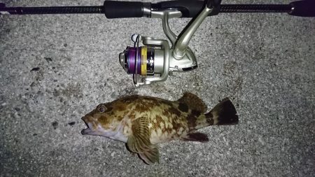 久しぶりの餌釣り❗