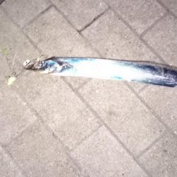 友人が初タチゲット！！